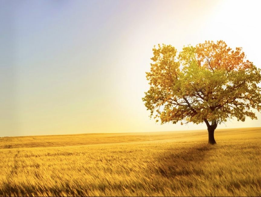 503639400_10056297407780558_2740956364087972917_n