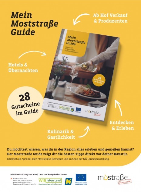 Inserat_Moststraße-Guide.jpg