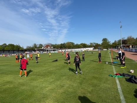 Sumsicup_2