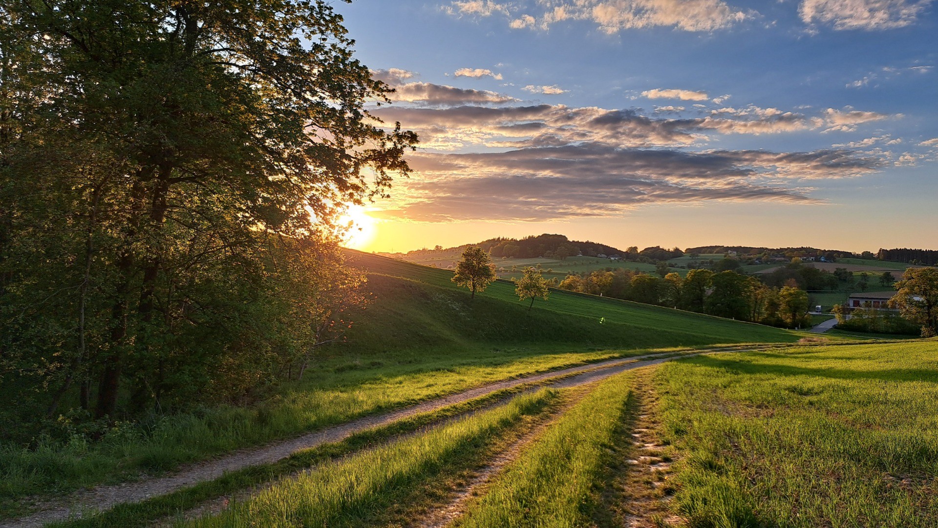 Frühling_1_Sabine Biringer_2026