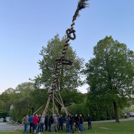 Aufstellfoto_Maibaum