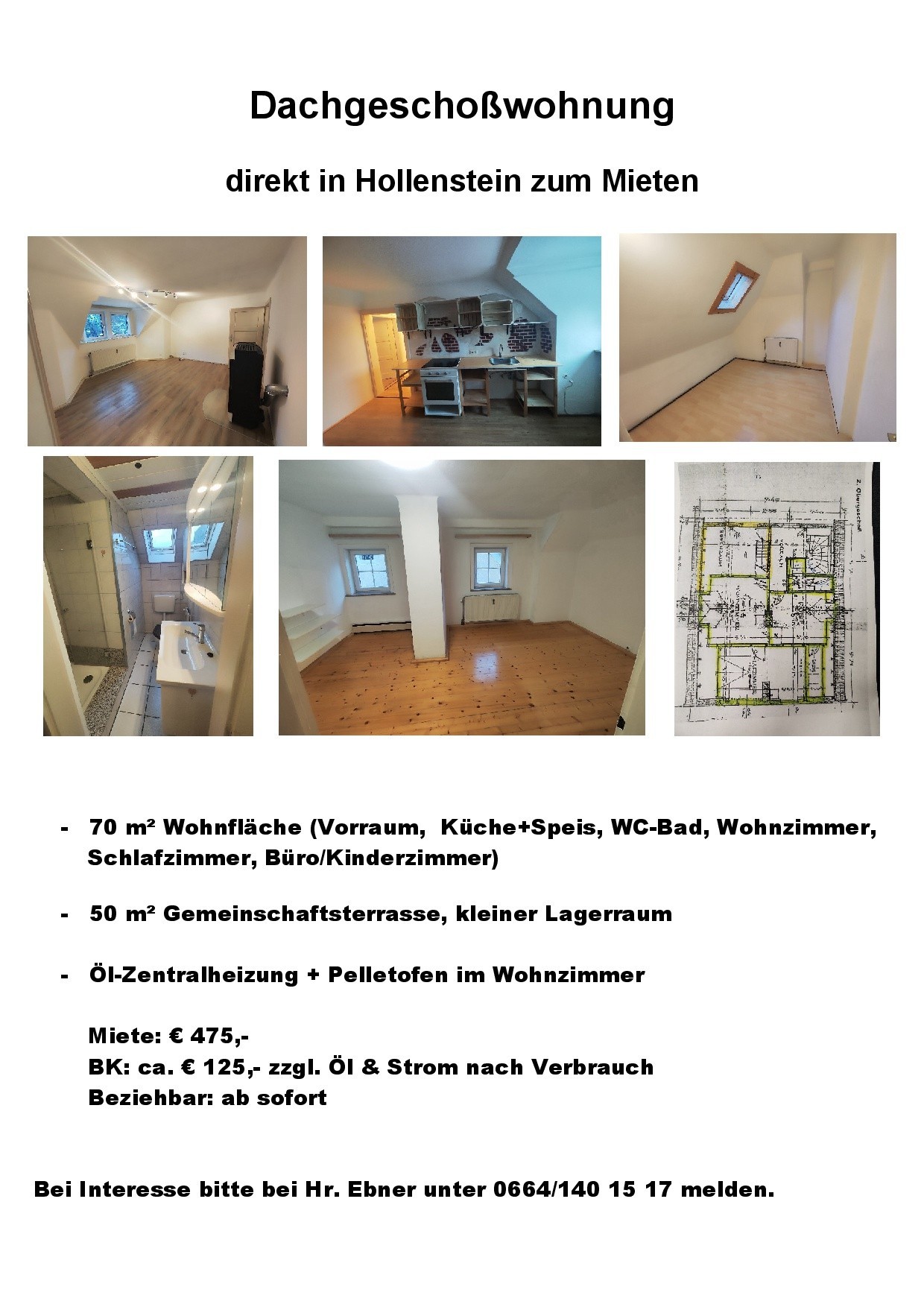 DG Wohnung in Hollenstein zum Mieten
