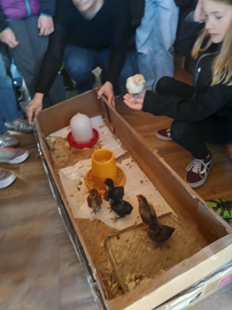 20260408_095034.jpg