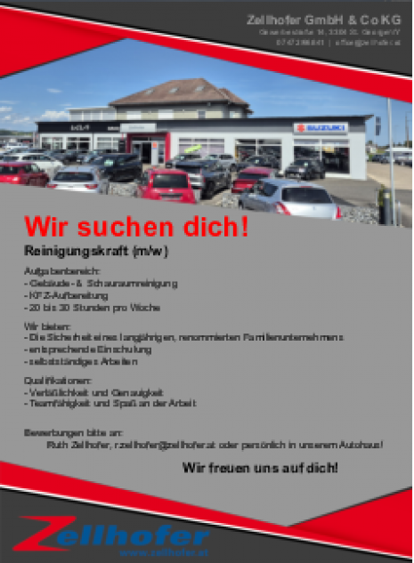 Inserat-Reinigung