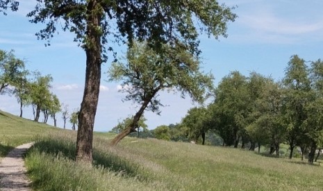 Wanderwege