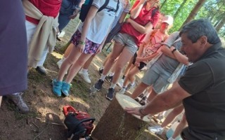 MittelschuleWaldjugendspiele3.jpeg