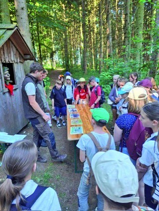 MittelschuleWaldjugendspiele1.jpeg