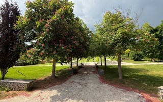 IMG_1288