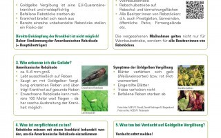 2026-05-13 ARZ_GFD_Infoblatt (2)_page-0001.jpg