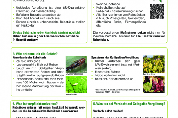 2026-05-13 ARZ_GFD_Infoblatt (2)