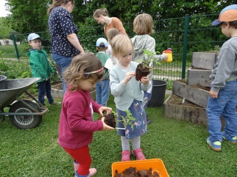 Bild 4