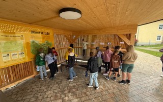 IMG_1367