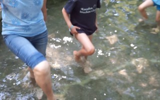 39e444d5-dde5-4058-9c2e-45b38ec5b850.jpeg