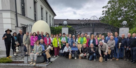 1  Straußen Ebner Gruppe PXL_20260610_090516462