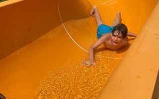 IMG_3229.jpeg