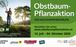 Facebook-Event-Titelbild Pflanzaktion 2026 1920x1080px - Moststraße (3).png