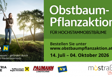 Facebook-Event-Titelbild Pflanzaktion 2026 1920x1080px - Moststraße (3).png