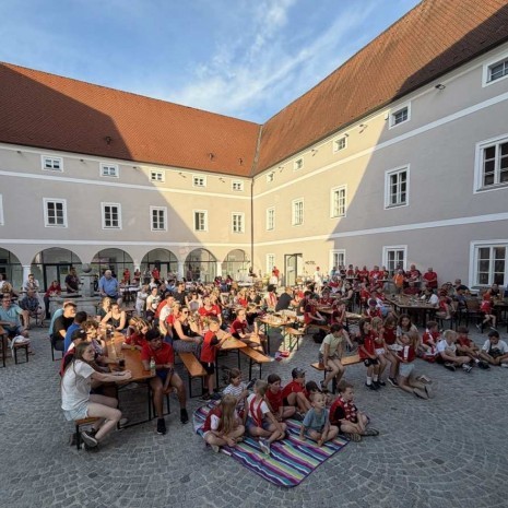 Pubic Viewing - Schloss Zeillern 2 - Bild - Mostropolis
