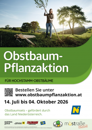 Vorlage A3 Pflanzaktion 2026 - Moststraße.png