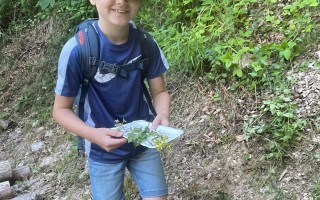 IMG_3373.jpeg