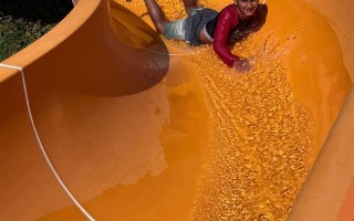 IMG_0659.jpeg