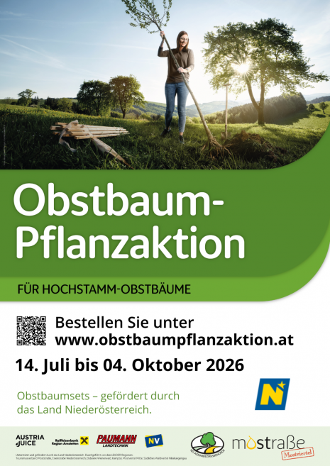 Vorlage A3 Pflanzaktion 2026 - Moststraße