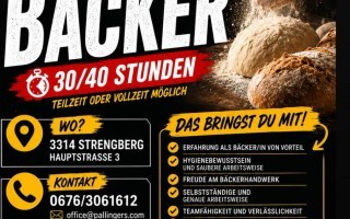 Inserat Pallinger.jpg