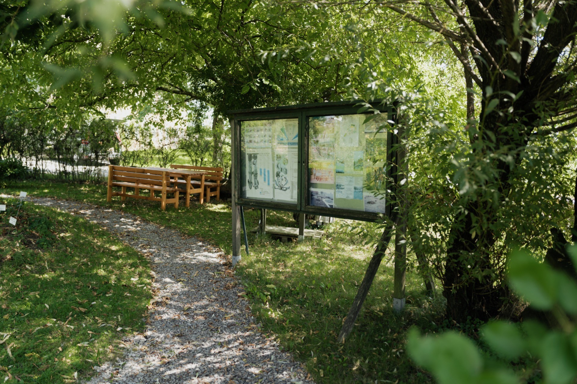 S13_25-08_Kräutergarten-9