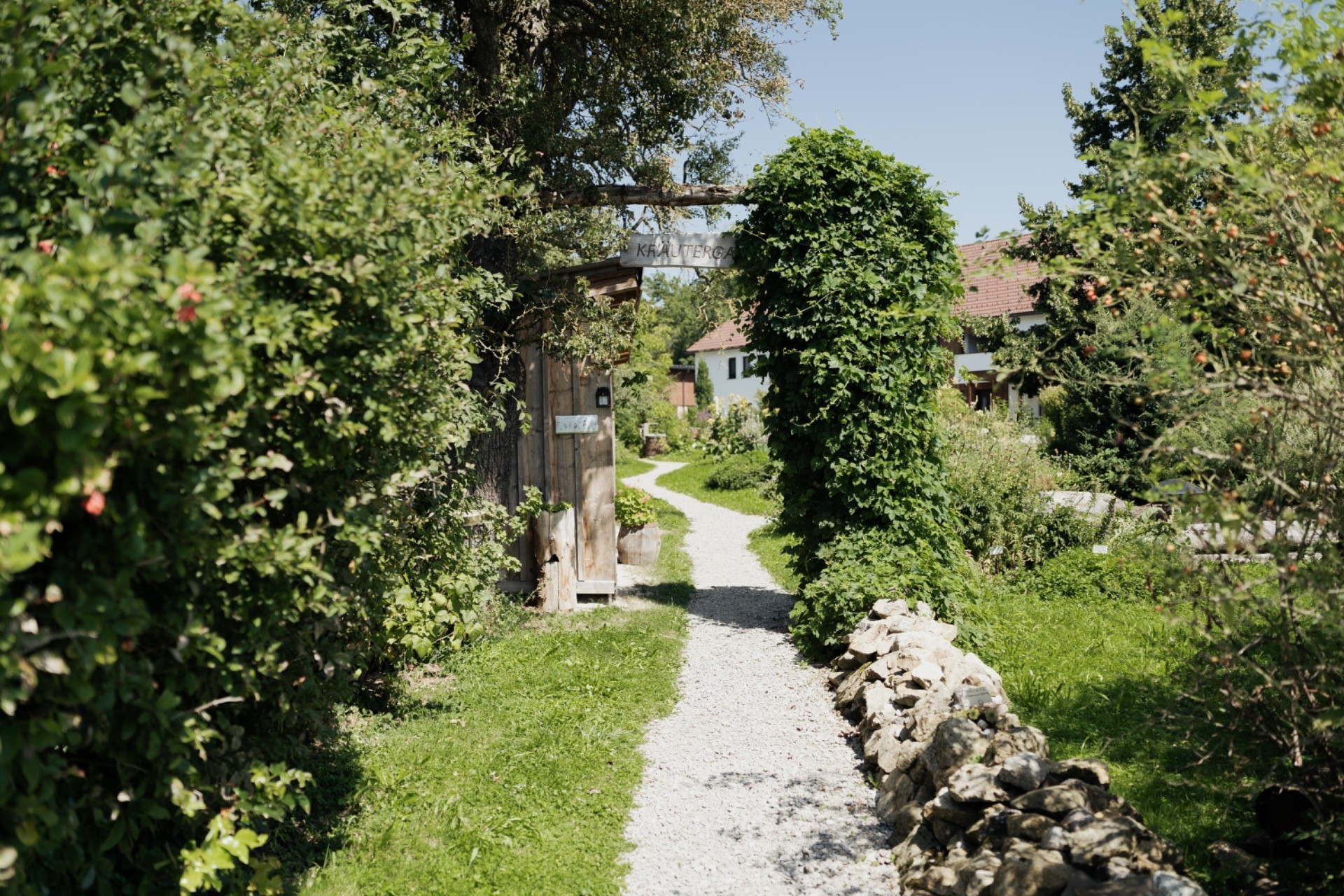 S13_25-08_Kräutergarten