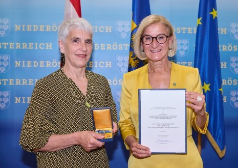 Verleihung Goldenes Ehrenzeichen.jpg
