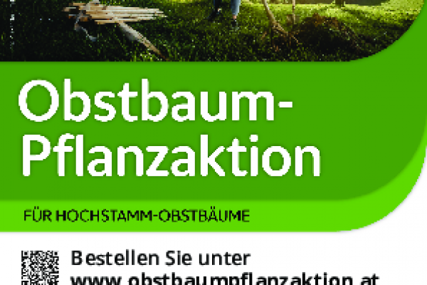 Flyer-A6-Pflanzaktion 2026 - Moststraße-preview3