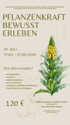 Pflanzenkraft310726_260701_123954