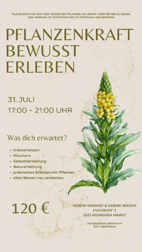 Pflanzenkraft310726_260701_123954