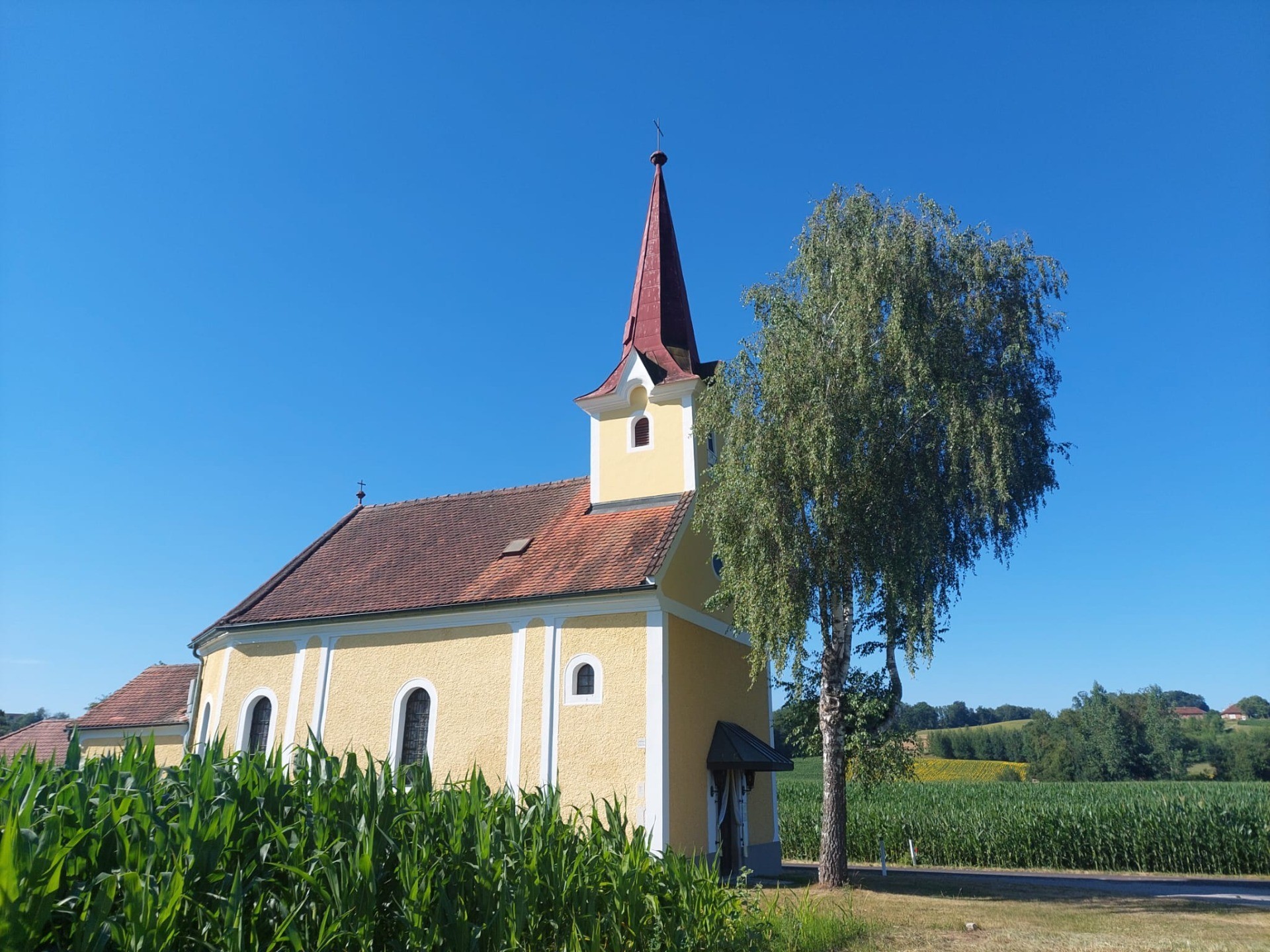 IMG-20260704-WA0005