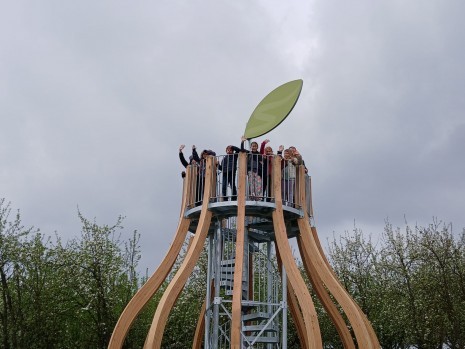 aufderBirne.jpg