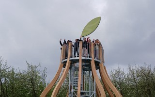 aufderBirne