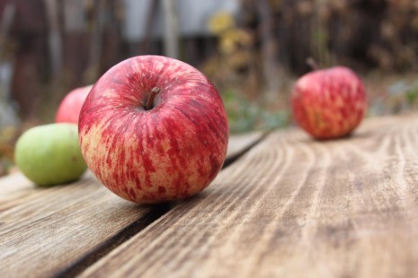 mihail_hukuna-apples-2923118_1920