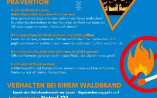 ZTDMJuli2026WAldbrand_Seite_2.jpg
