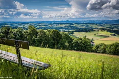 5 Naturbild.jpg