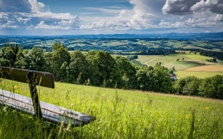 5 Naturbild.jpg