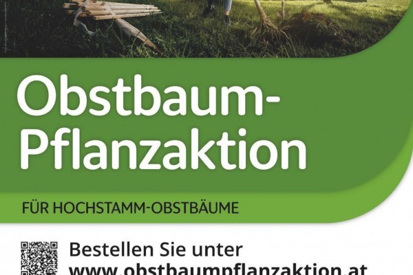 Pflanzaktion 2026 - Moststraße