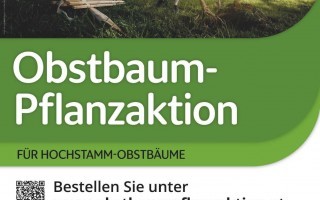 Pflanzaktion 2026 - Moststraße.jpg
