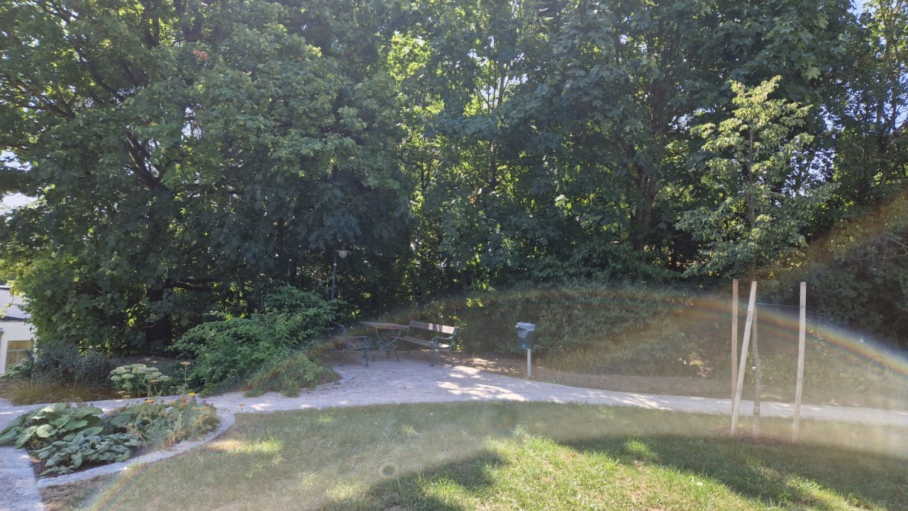 20260728_105957.jpg