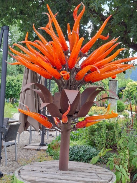 3 Glasdorf IMG-20260728-WA0028