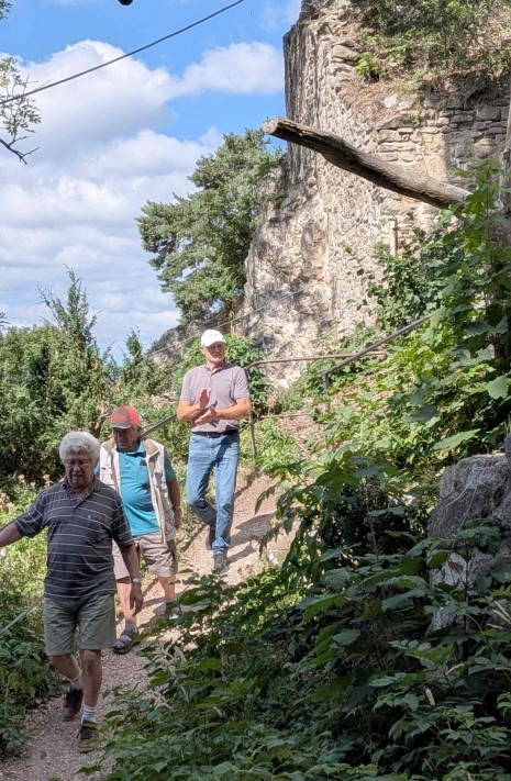 5b Ruine PXL_20260728_084124253