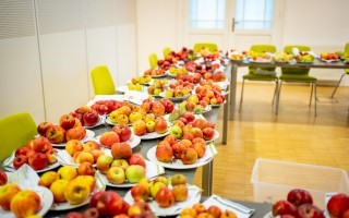 Sortenbestimmung-Moststraße-02-c-Cleanhill-Studios.jpg