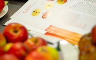Sortenbestimmung-Moststraße-03-c-Cleanhill-Studios.jpg