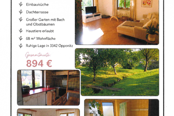 Wohnung zu vermieten