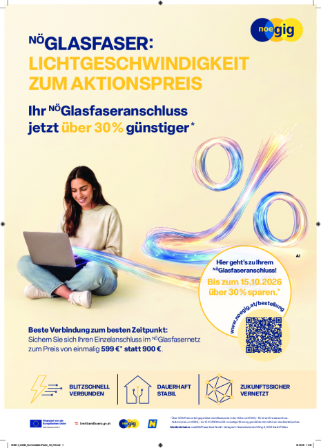 260811_nöGIG_SommeraktionPLAKAT_A3_Allgemein.pdf