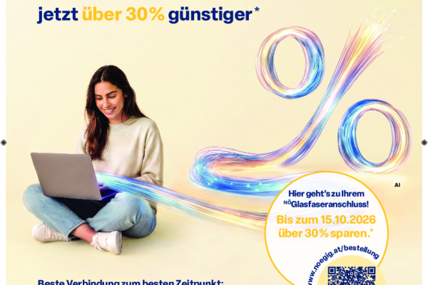 260811_nöGIG_SommeraktionPLAKAT_A3_Allgemein